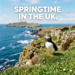 Discover the best UK spring destinations from puffin watching in the Hebrides to art trails in the Moors. Explore reader-favorite spots for the 2026 season.